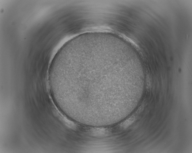 X0000062651470200601181757