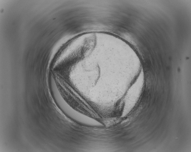 X0000062651472200601181757