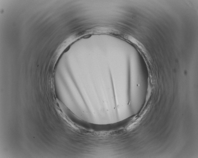 X0000062651473200601181757