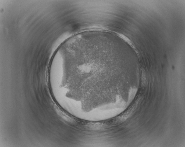 X0000062651474200601181757