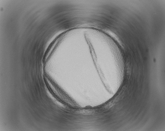 X0000062651476200601181757