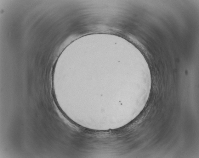 X0000062651479200601181757