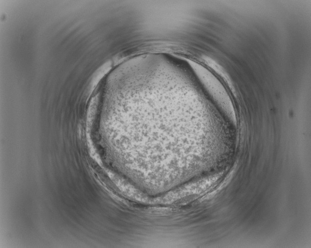 X0000062651481200601181757