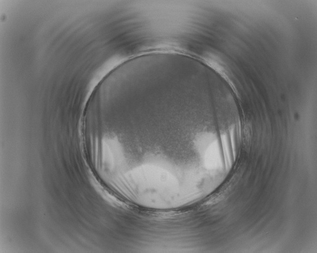 X0000062651482200601181757