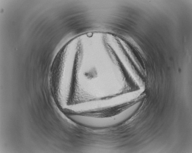 X0000062651484200601181757