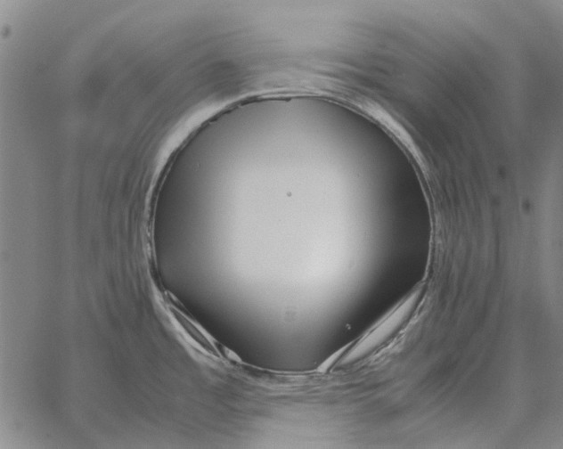 X0000062651485200601181757