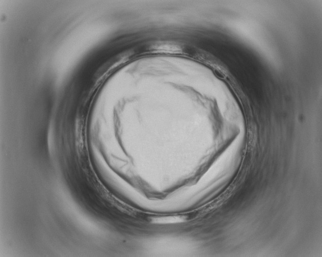 X0000062651487200601181757