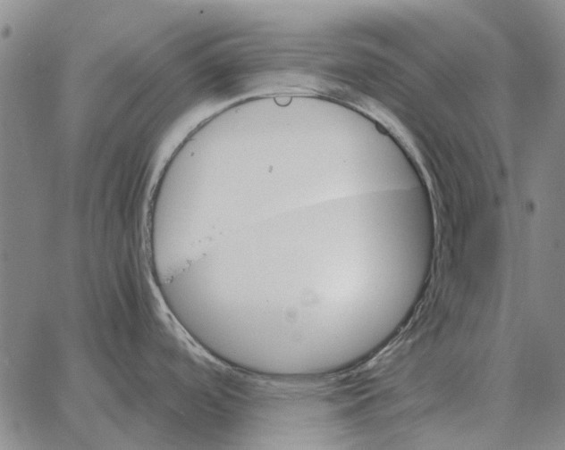 X0000062651488200601181757