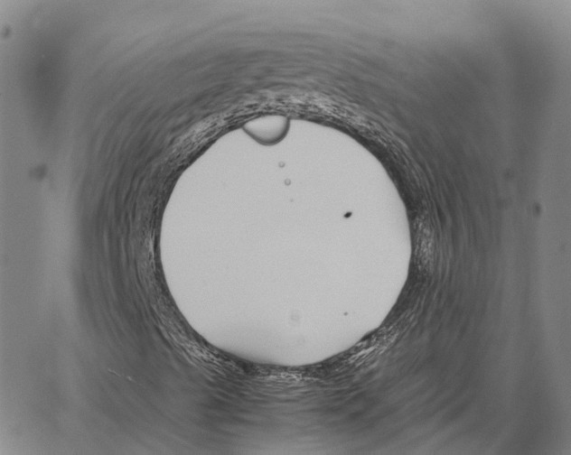 X0000062651489200601181756