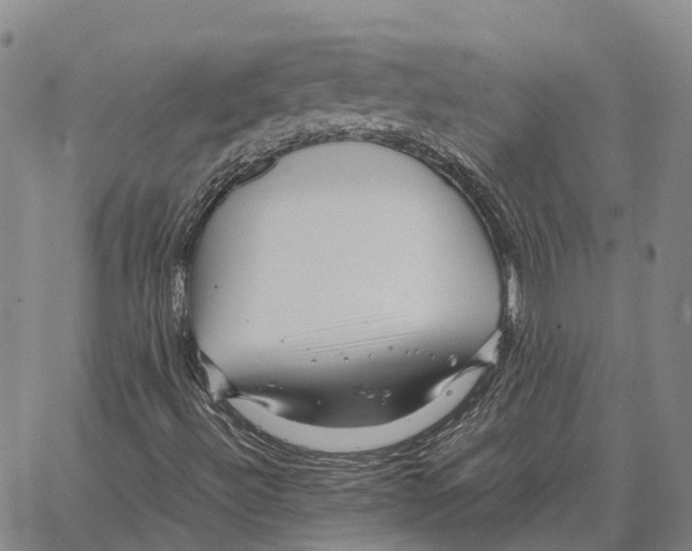 X0000062651492200601181756