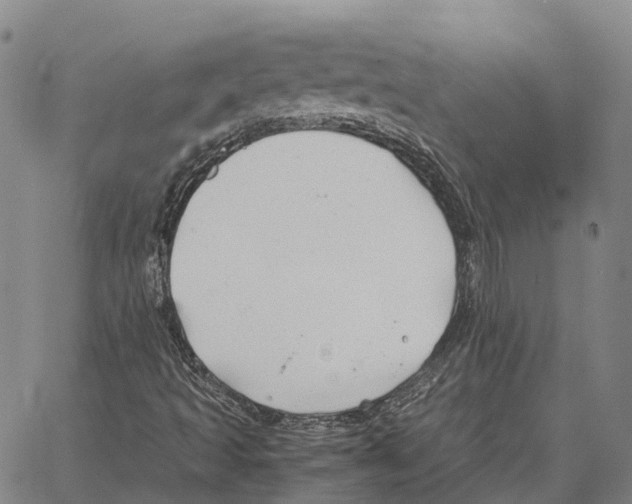 X0000062651493200601181756