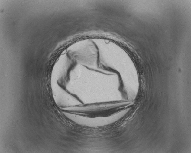 X0000062651494200601181756