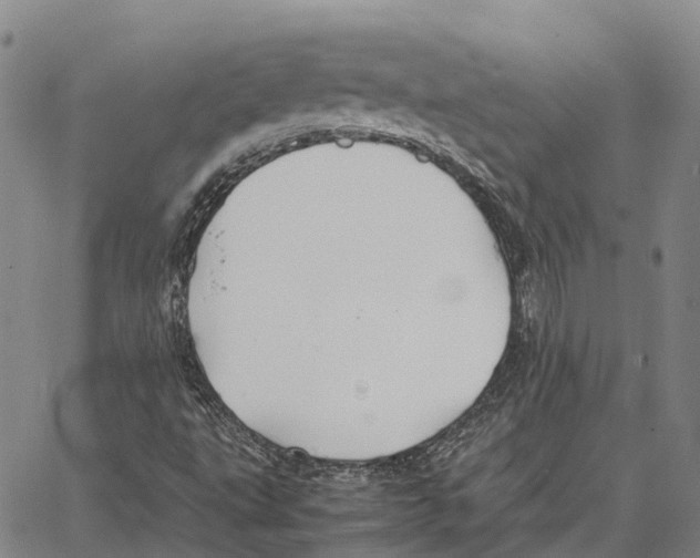 X0000062651495200601181756