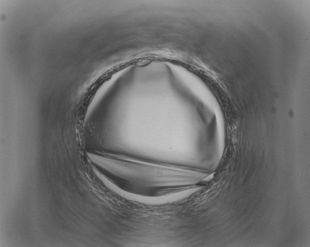 X0000062651496200601181756