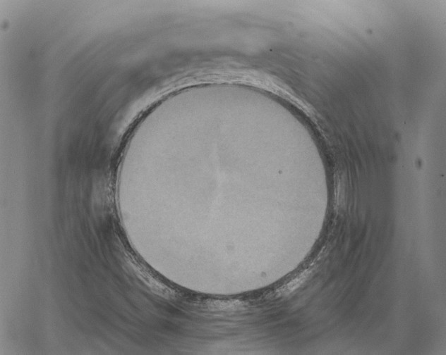 X0000062651498200601181756