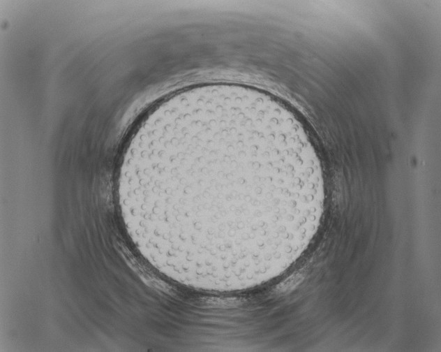 X0000062651499200601181757