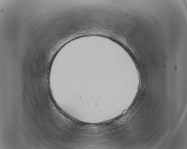 X0000062651500200601181757