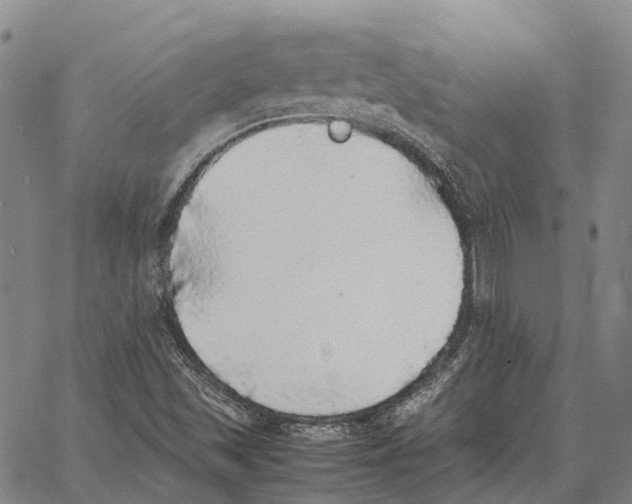 X0000062651501200601181757