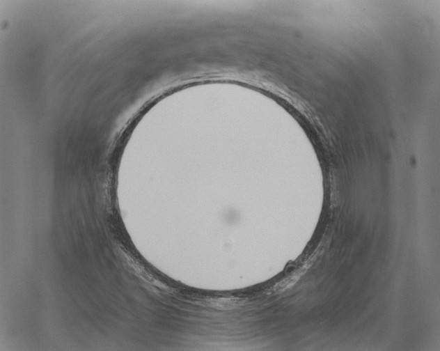 X0000062651502200601181757