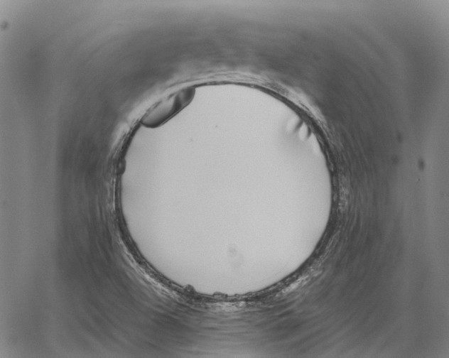 X0000062651504200601181757