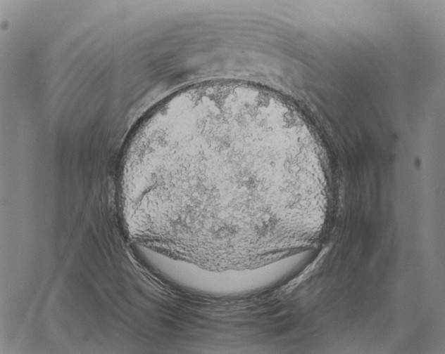 X0000062651505200601181757