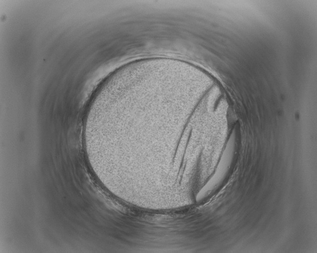 X0000062651507200601181757