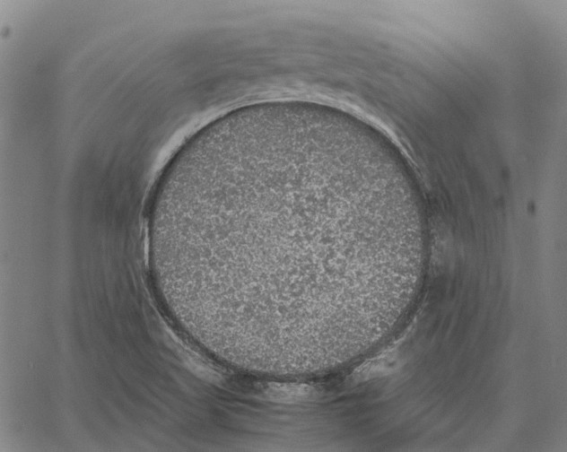 X0000062651509200601181757