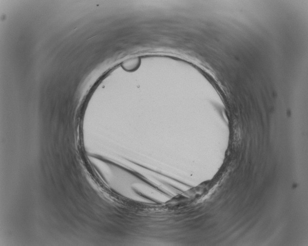 X0000062651511200601181757