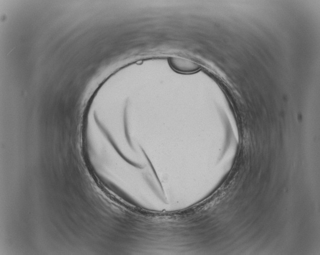 X0000062651512200601181757