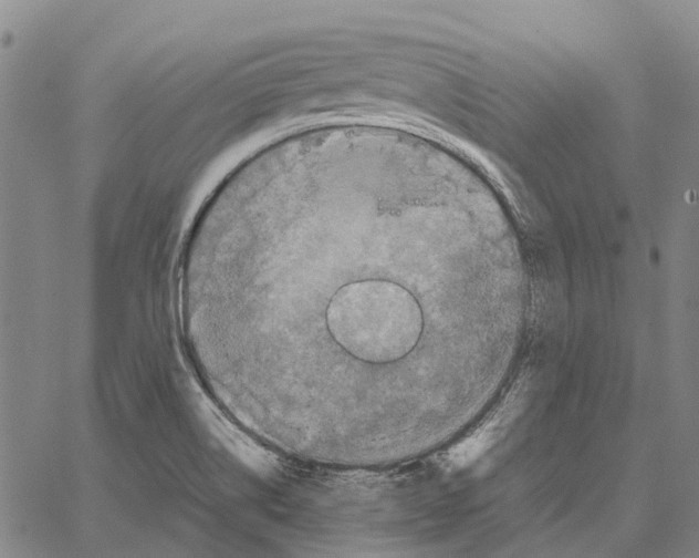 X0000062651514200601181757