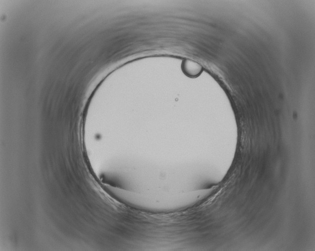 X0000062651516200601181757