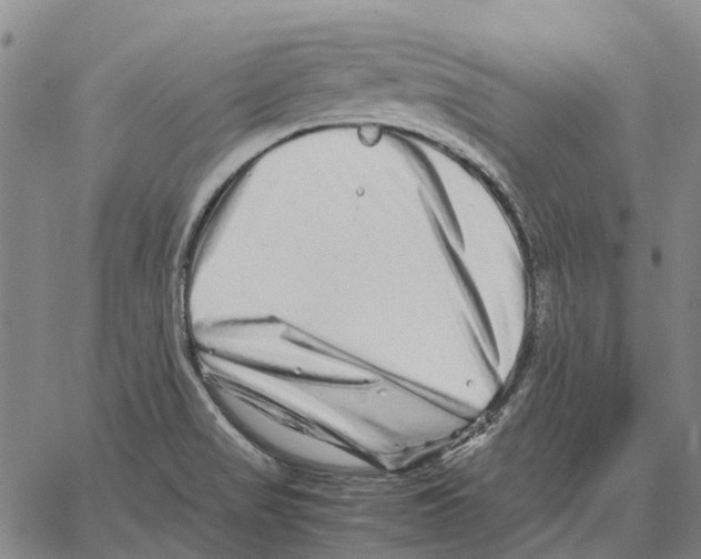 X0000062651517200601181757