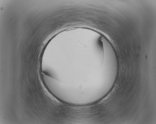 X0000062651518200601181757