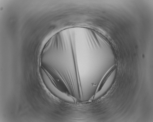 X0000062651520200601181757