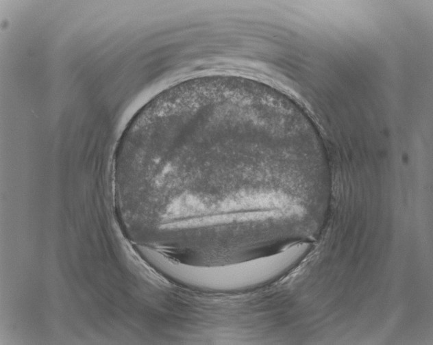 X0000062651522200601181757