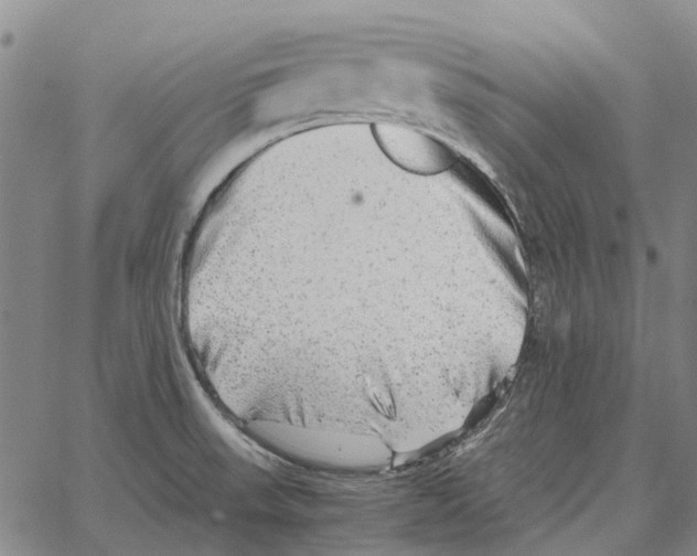 X0000062651523200601181757