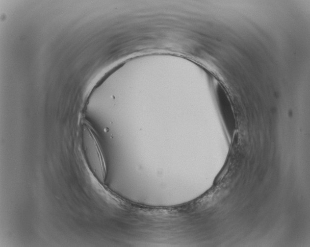 X0000062651524200601181757