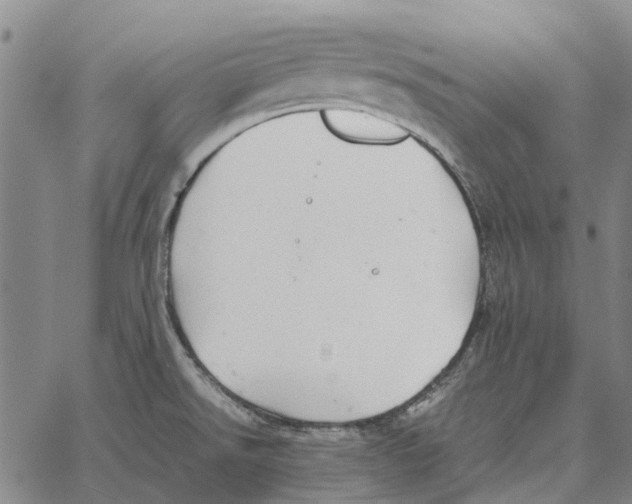 X0000062651526200601181757