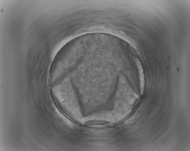 X0000062651527200601181757