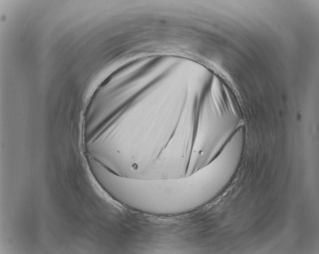 X0000062651528200601181757