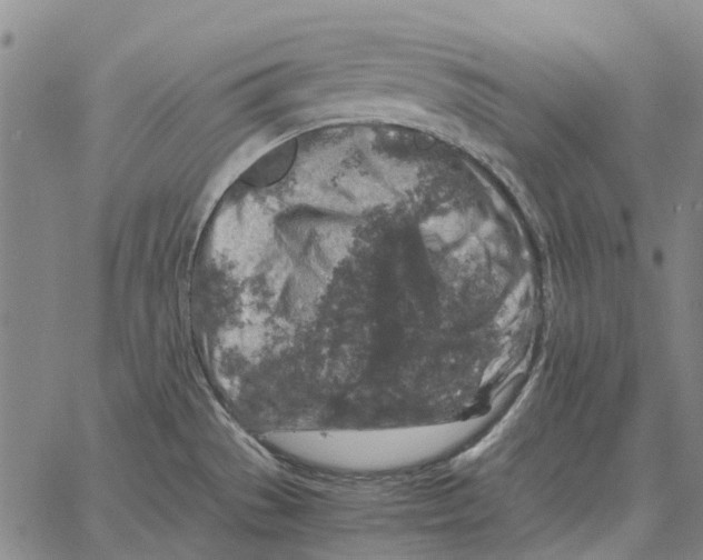 X0000062651529200601181757