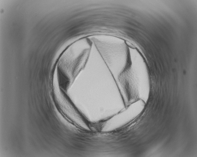 X0000062651531200601181757