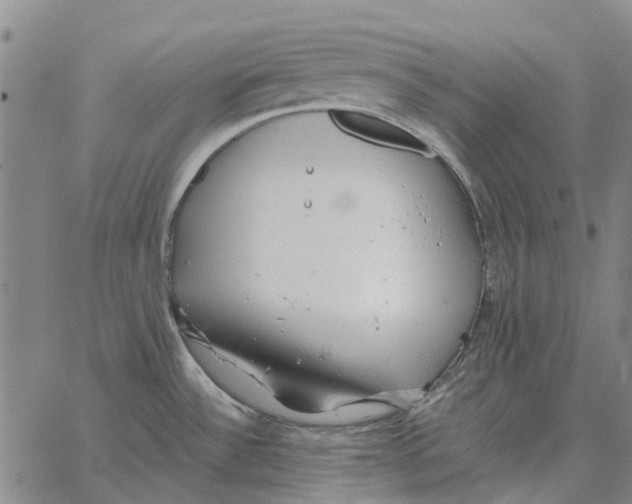 X0000062651532200601181757