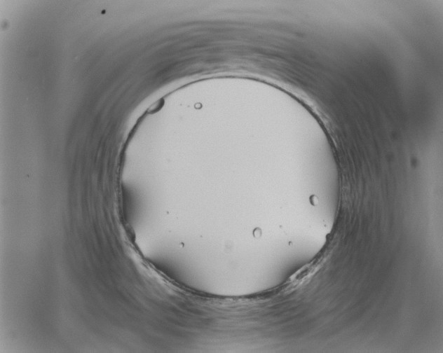 X0000062651534200601181757