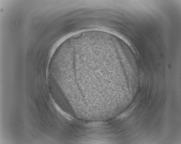 X0000062651535200601181757