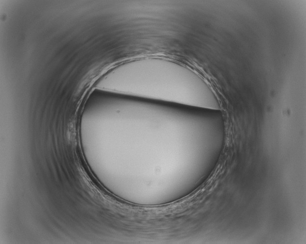 X0000062670002200512211047