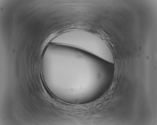 X0000062670003200512211047