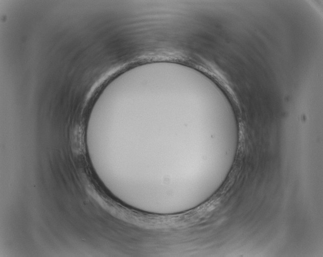 X0000062670012200512211047