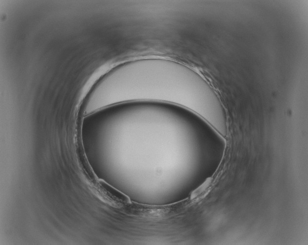 X0000062670056200512211045