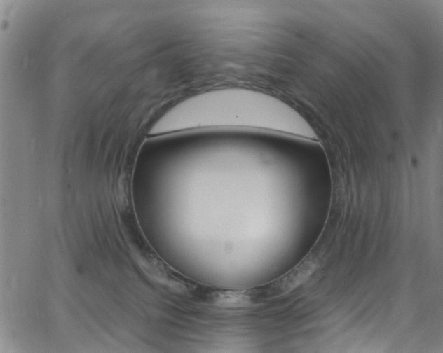 X0000062670088200512211046